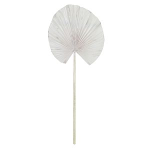 Rogue
Black Label RB Deco Fan Palm White 30x1x75cm
