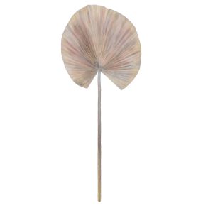 Rogue
Black Label RB Deco Fan Palm Soft Pink 30x1x75cm