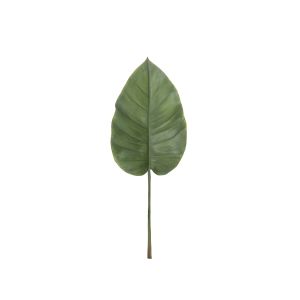 Rogue Black Taro Leaf Green 22x5x57cm