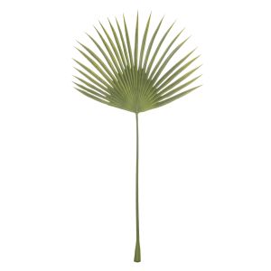 Rogue Black Fan Palm Leaf Green 50x10x92cm