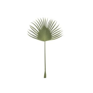 Rogue Black Fan Palm Leaf Green 60x10x127cm