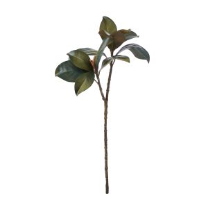 Rogue Magnolia Foliage Green 8x23x64cm
