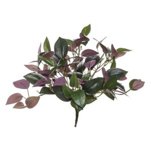 Rogue Tradescantia Bush Green/Purple 40x30x30cm