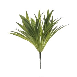 Rogue Wild Lily Grass Bush Green/White 30x30x35cm
