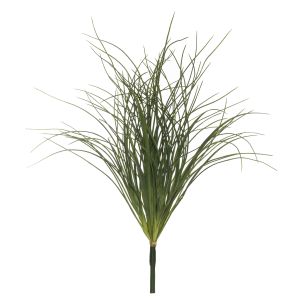 Rogue Tussoc Grass Bush Green 55x55x65cm
