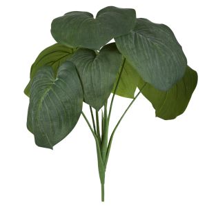 Rogue Hosta Plant Green 38x42x53cm