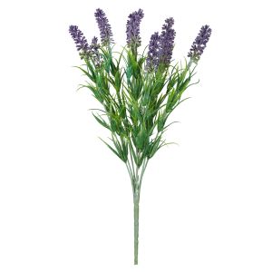 Rogue Lavender Plant Purple 39x16x16cm