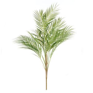 Rogue Phoenix Palm Green 26x26x89cm