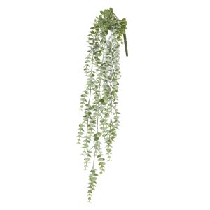 Rogue Silver LeafÂ Hanging Bush Grey Green 15x10x77cm