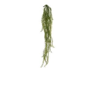 Rogue Cypress Fern Hanging Bush Green 16x14x80cm