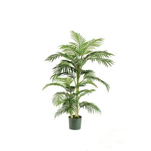 Rogue Cane Palm Green 80x80x152cm