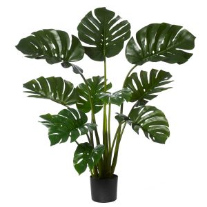 Rogue Monstera Plant-Garden Pot Green/Black 110x110x122cm