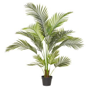 Rogue Areca Palm Green 90x90x120cm