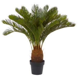 Rogue Cycas Plant Green 76x76x93cm