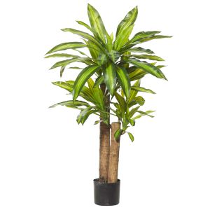 Rogue Happy Plant-Garden Pot Green/Black 70x60x110cm