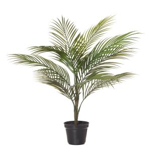 Rogue Areca Palm Green 50x50x65cm
