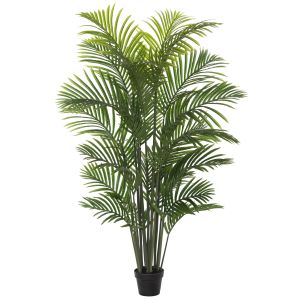 Rogue Areca Palm Tree-Garden Pot Green 100x100x150cm