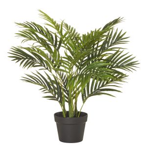 Rogue Areca Palm Tree-Garden Pot Green 60x60x65cm