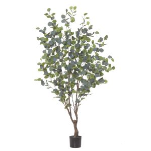 Rogue Eucalyptus Tree Green 100x100x180cm