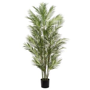 Rogue
Black Label Phoenix Palm-Garden Pot Green 55x55x183cm