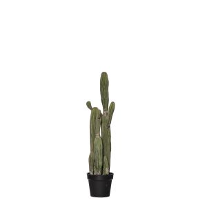 Rogue Saguaro Cactus-Garden Pot Green 25x20x91cm
