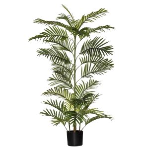 Evergreen by Rogue EG Cane Palm Green 80x60x120cm