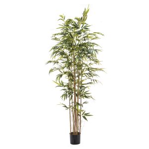 Rogue Bamboo Tree Green 110x110x210cm