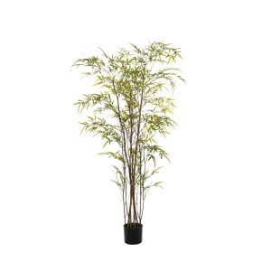 Rogue Lux Bamboo Tree Green 90x90x180cm
