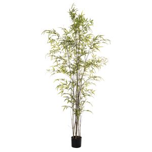 Rogue Lux Bamboo Tree Green 100x100x210cm