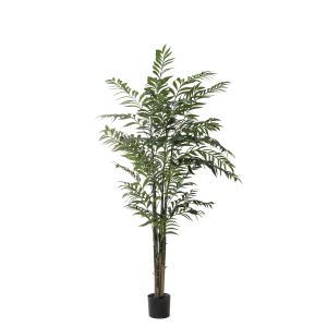 Rogue Deluxe Bamboo Palm Green 90x90x183cm