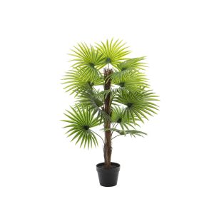 Rogue Fan Palm Tree Green 70x70x90cm