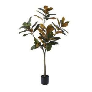 Rogue Magnolia Tree Green 122x43x43cm