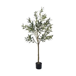 Rogue Olive Tree Green 56x56x152cm