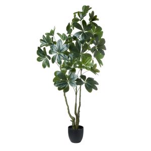 Rogue Umbrella Tree-Garden Pot Green 82x52x150cm
