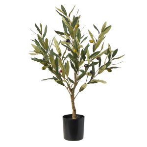 Rogue Olive Tree Green 37x39x60cm