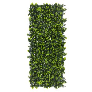 Rogue Gardenia Expanding Trellis Green 200x10x100cm