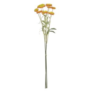 Rogue Mini Straw Flower Bouquet Orange 54x15x9cm