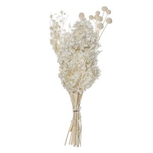 Rogue Preserved Mixed Bouquet White 25x25x50cm