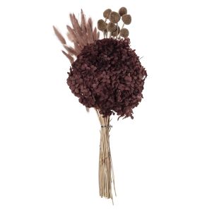 Rogue Preserved Bunny Tail Bouquet Burgundy 20x20x50cm