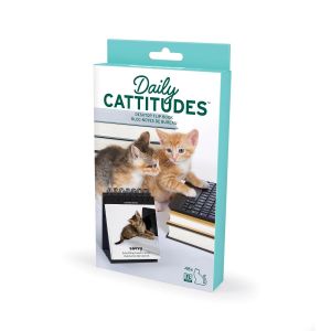 FRED Daily Cattitudes - Desktop Flipbook Multi-Coloured 15.5x10.5x1.5cm