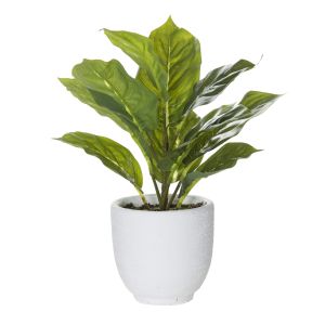 Rogue Evergreen Bush-Orson Pot Green/White 26x23x33cm