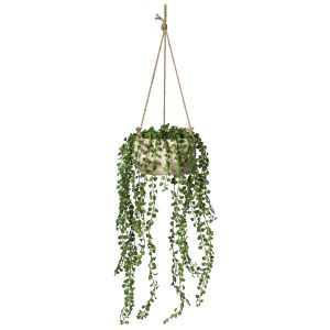 Grand Designs Angel Vine-Dansk Hanging Bowl Green/Natural 35x35x135cm
