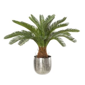 Society Home Cycas Plant-Anderson Pot Green/Silver 80x80x60cm