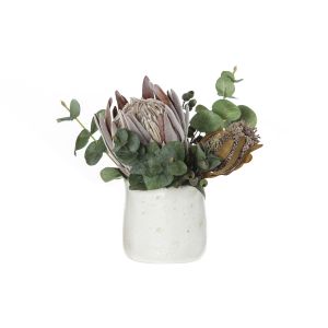 Rogue Dried Look Protea-Reese Pot Dusty Brown/Cream 30x30x28cm