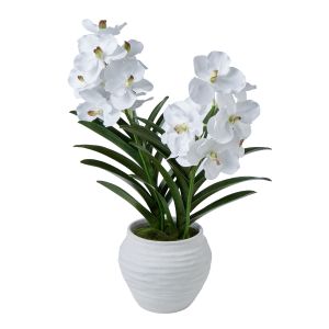 Society Home Vanda Orchid-Talilia Pot White 42x28x80cm