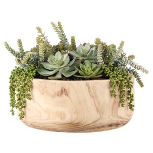 Rogue Succulent Garden-Dansk Bowl Green/Natural 45x45x29cm