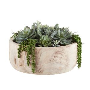 Rogue Succulent Garden-Dansk Bowl Green/Natural 45x45x29cm