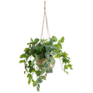 Rogue Pothos Hanging-Dansk Macrame Bowl Green/Natural 55x55x110cm