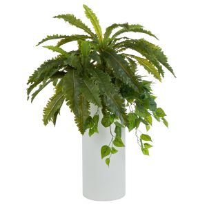 Rogue Asplenium Mix-Willis Bucket Green/White 65x65x97cm