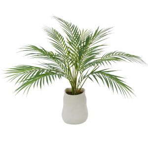 Rogue Phoenix Palm-Maliah Pot Green/Cream 60x60x64cm